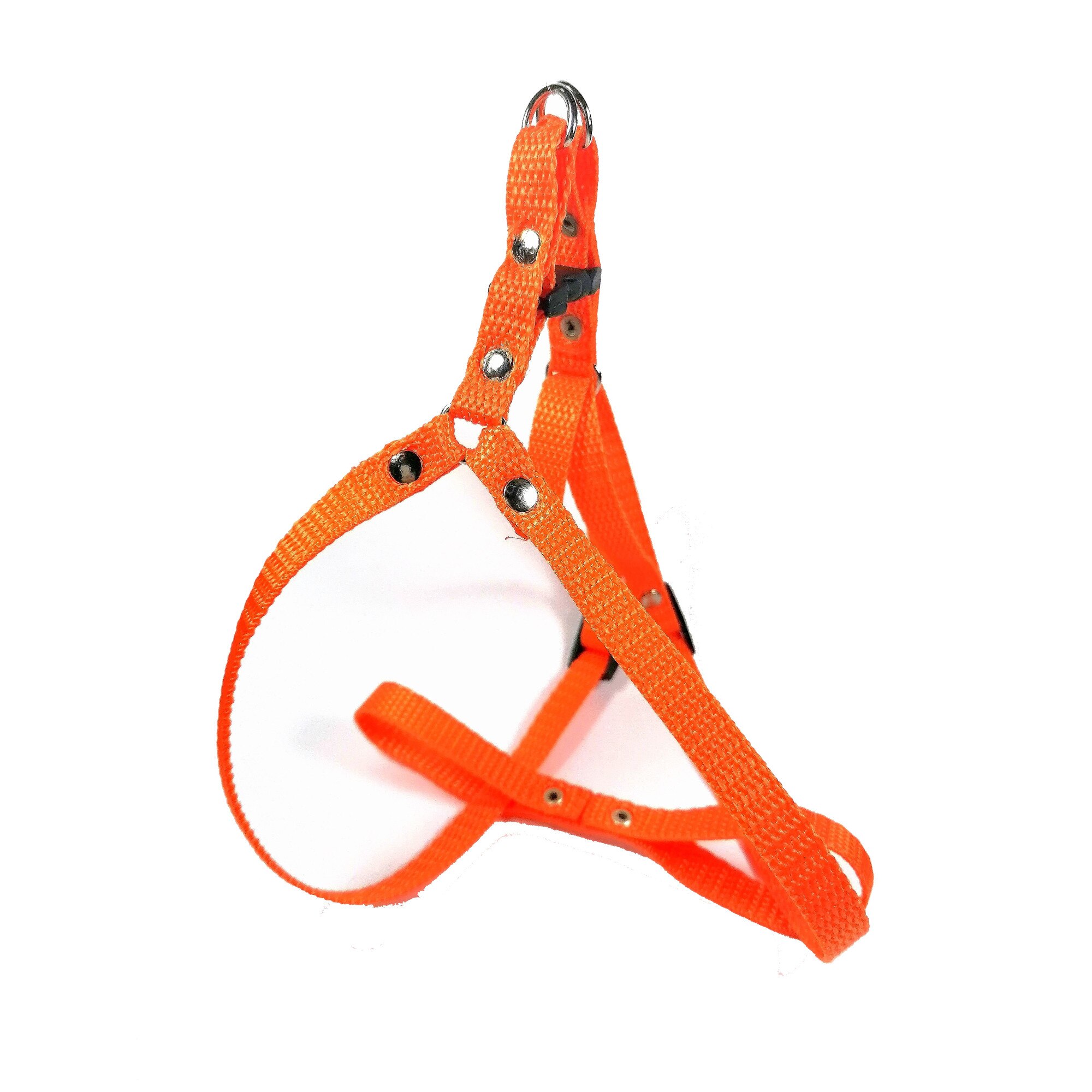 Set ham din chinga marime S + lesa din chinga 10 mm x 1.20 m , portocaliu