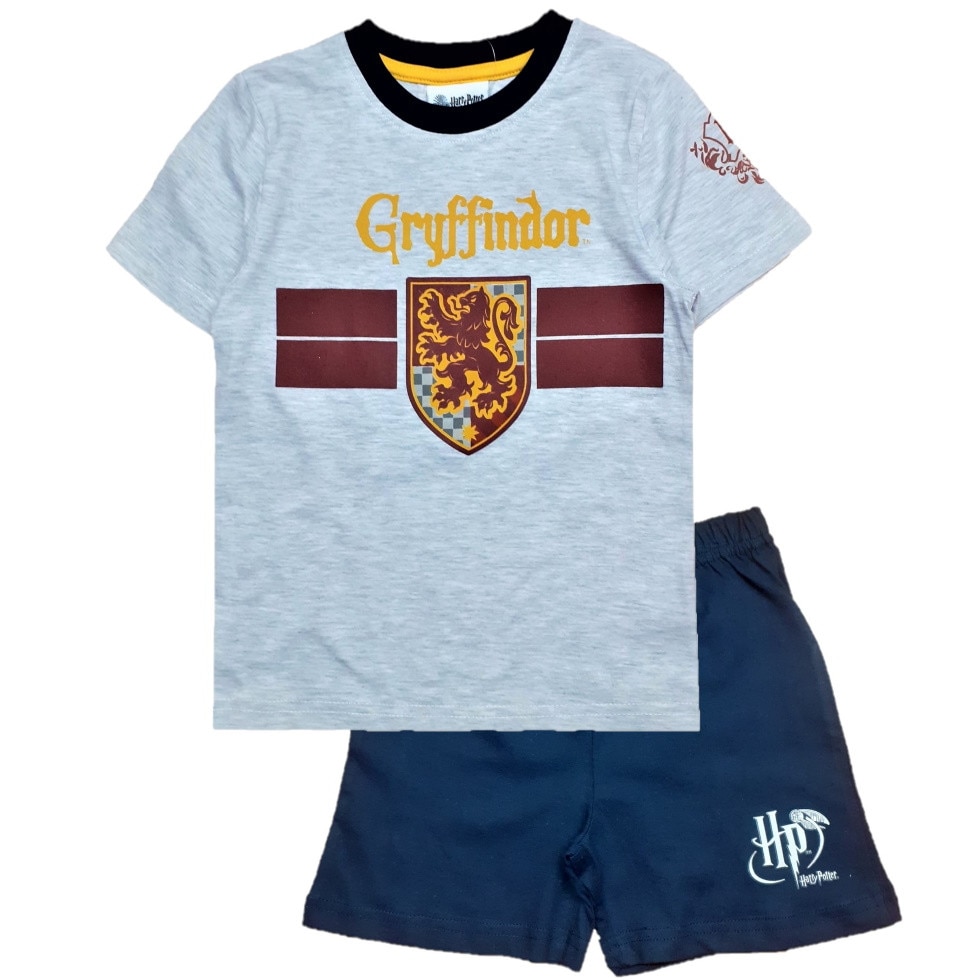 Compleu Harry Potter-Gryffindor, Gri