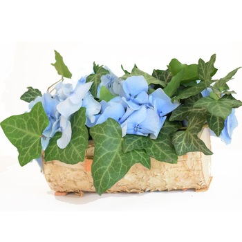 Aranjamnent floral cu hortensie, Vintage Flowers Aranjamnent floral cu hortensie, Vintage Flowers