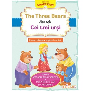 Cursuri limbi straine