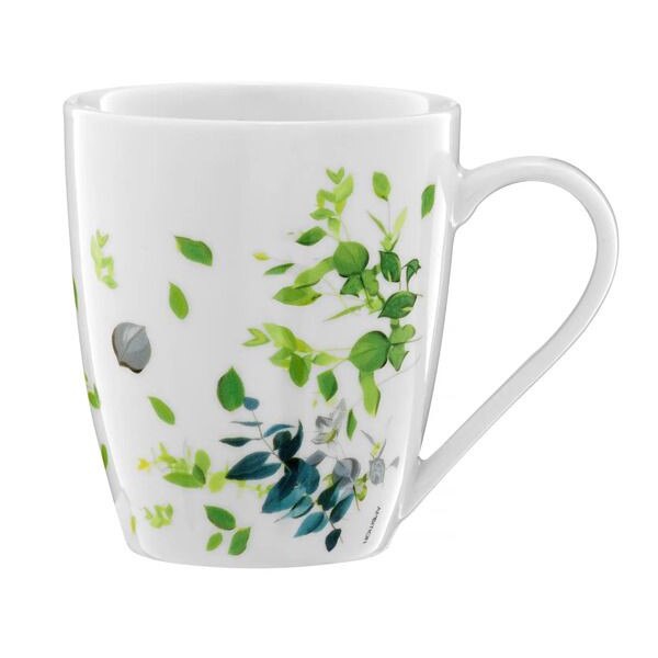 Cana Ambition 370ml Bizet