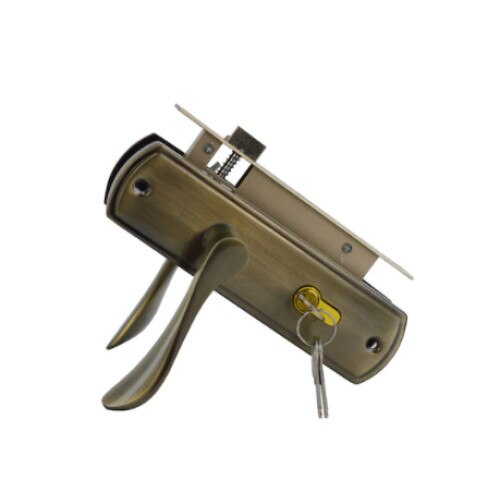 Broasca completa 55 cu butuc cu buton, 4 chei Argintiu-Satinat, 5V1