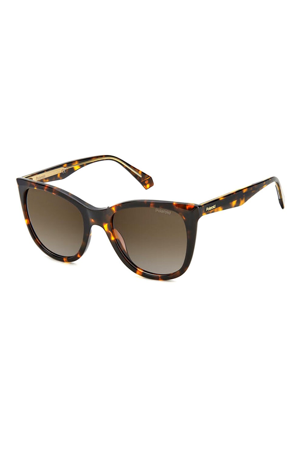 Polaroid, Ochelari de soare patrati, Maro inchis tortoise/Auriu, 52-20-145 Standard