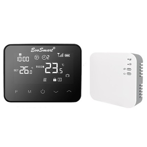 HERZ ARMATUREN - Digital Room thermostat