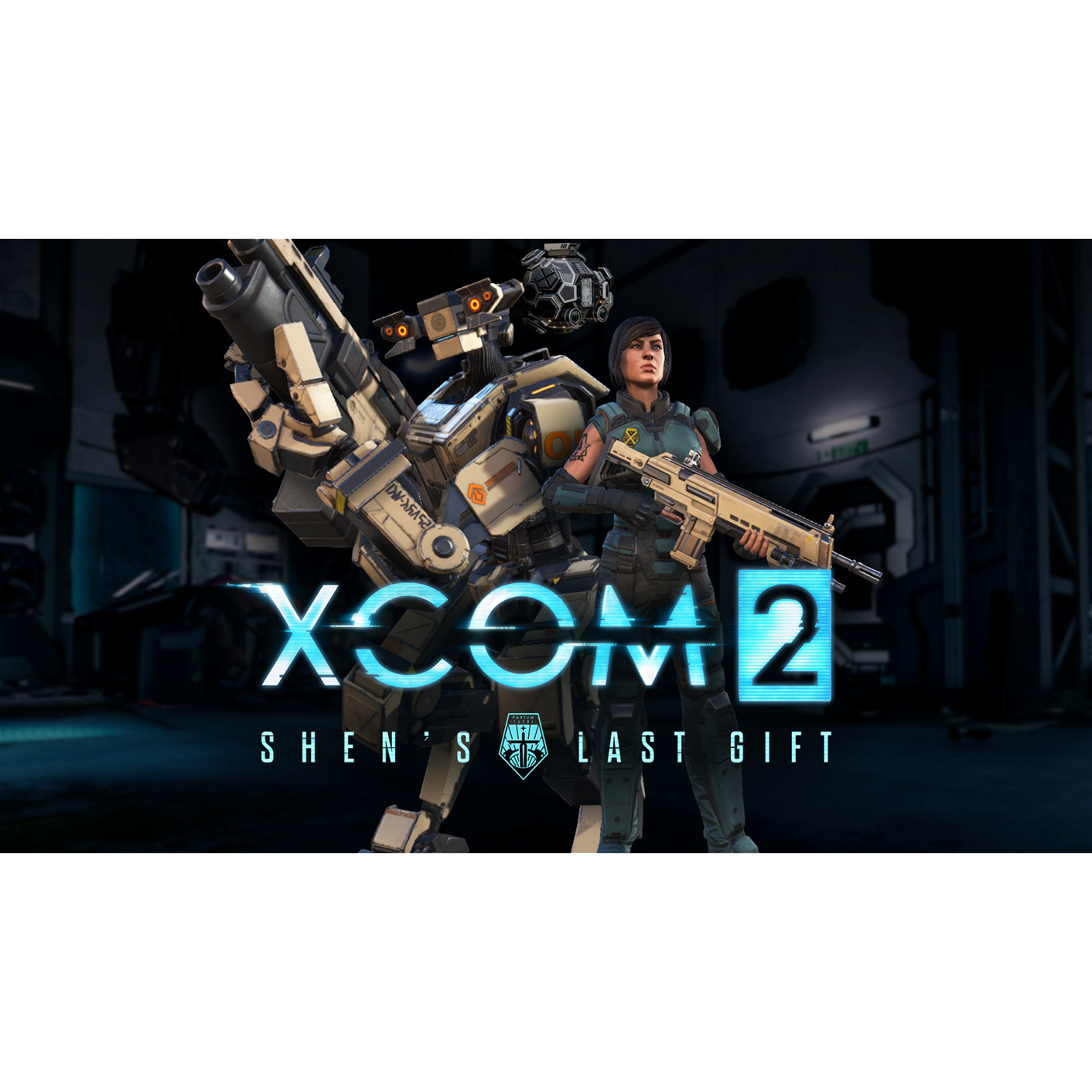 2 Reinforcement Pack (PC Steam elektronikus játék licensz) eMAG.hu