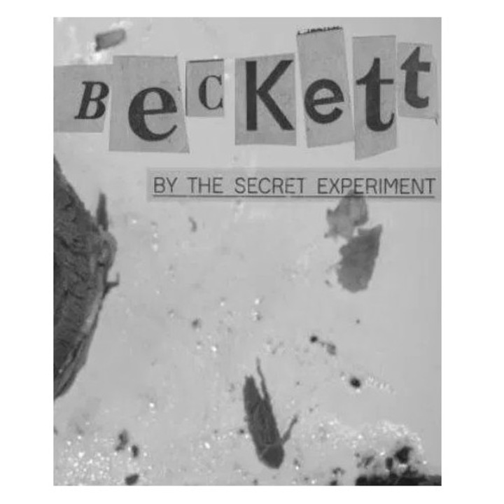 Beckett (PC - Steam elektronikus játék licensz)
