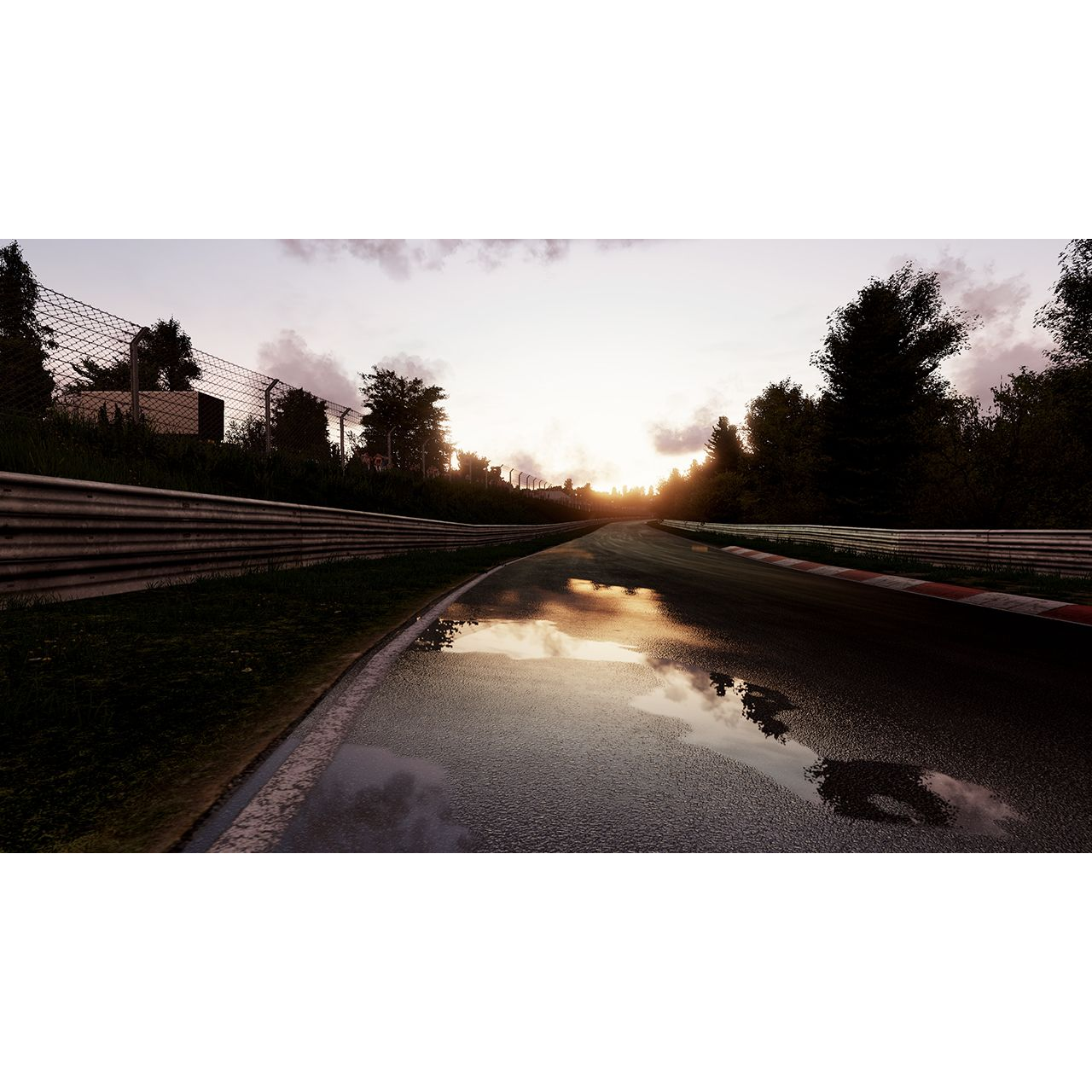 Joc PC Project CARS Game Of The Year Edition, cod de activare Steam