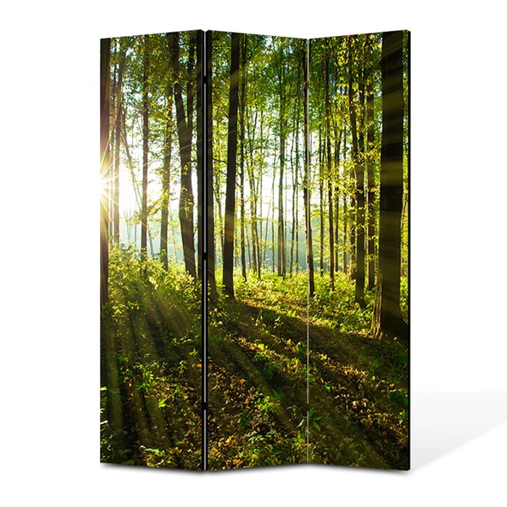 Paravan 3 piese Premium TrueColor, Art Star, Raze de soare printre copaci, Panza pe cadru de lemn, Decoratiuni Moderne pentru Casa, 3 Panouri de 35 x 180, 105 x 180 cm