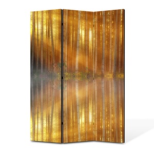 Pereti despartitori si paravane