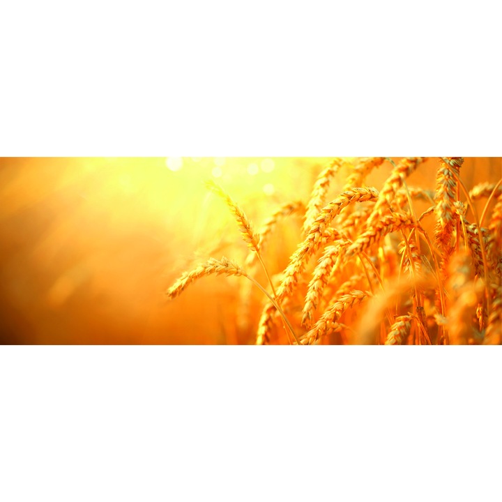 Set doua bucati sticla bucatarie sau baie , securizata , GLASFABRIK 4 mm, Multicolor,3000x600 mm dkemg87