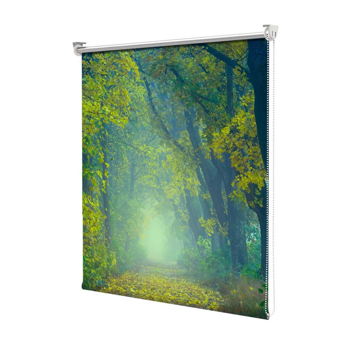 Roleta Art Shade tip Jaluzea cu Rulou si sistem inclus, Art Star, Toamna la umbra copacilor din padure, Decoratiuni, Latime 45 cm x Inaltime 130 cm