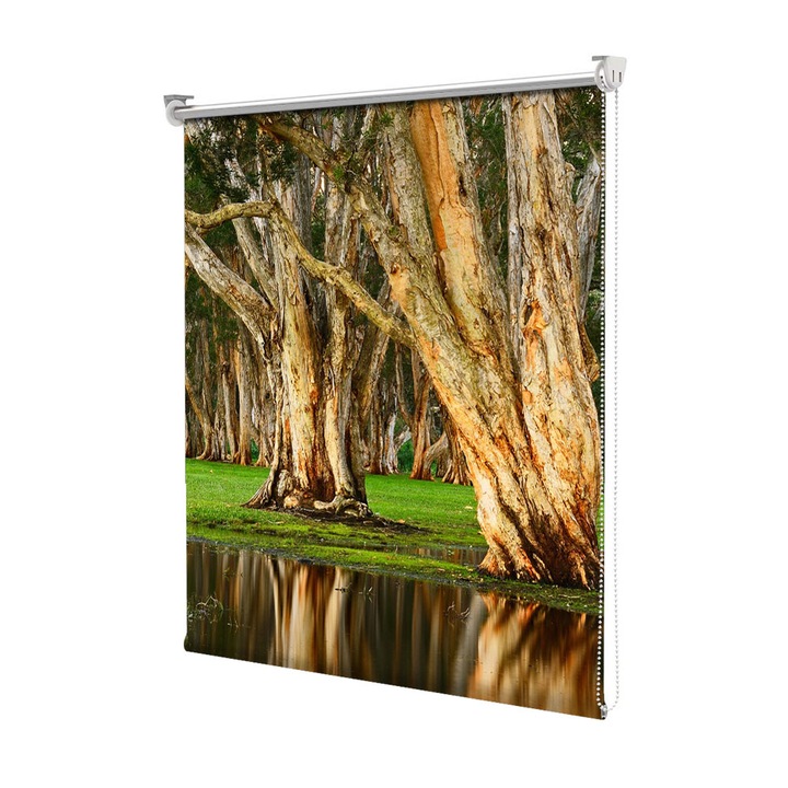 Roleta Art Shade tip Jaluzea cu Rulou si sistem inclus, Art Star, Copaci batrani, Decoratiuni, Latime 70 cm x Inaltime 130 cm