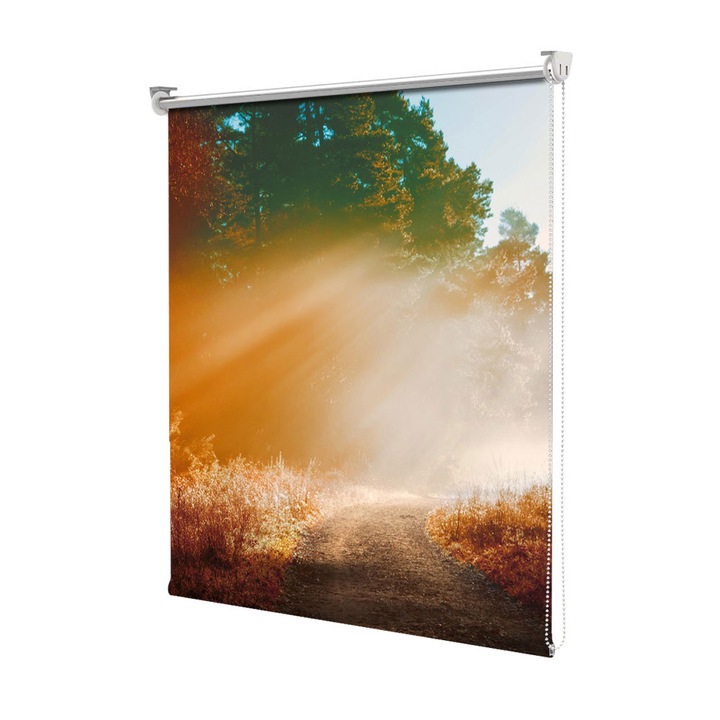 Roleta Art Shade tip Jaluzea cu Rulou si sistem inclus, Art Star, Poteca de toamna in razele soarelui, Decoratiuni, Latime 45 cm x Inaltime 130 cm