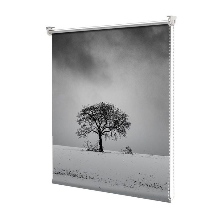 Roleta Art Shade tip Jaluzea cu Rulou si sistem inclus, Art Star, Iarna geroasa, Decoratiuni, Latime 55 cm x Inaltime 130 cm