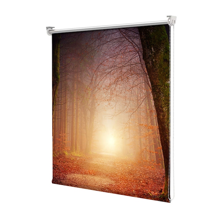 Tekerhető redőny tartozékokkal, Art Star, A nap meleg fénye az őszi erdőben, Modern otthoni dekorációk, 130 x 180 cm