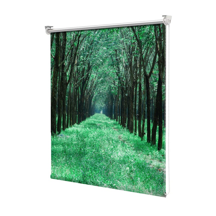 Roleta Art Shade tip Jaluzea cu Rulou si sistem inclus, Art Star, Verde intens, Decoratiuni, Latime 45 cm x Inaltime 130 cm