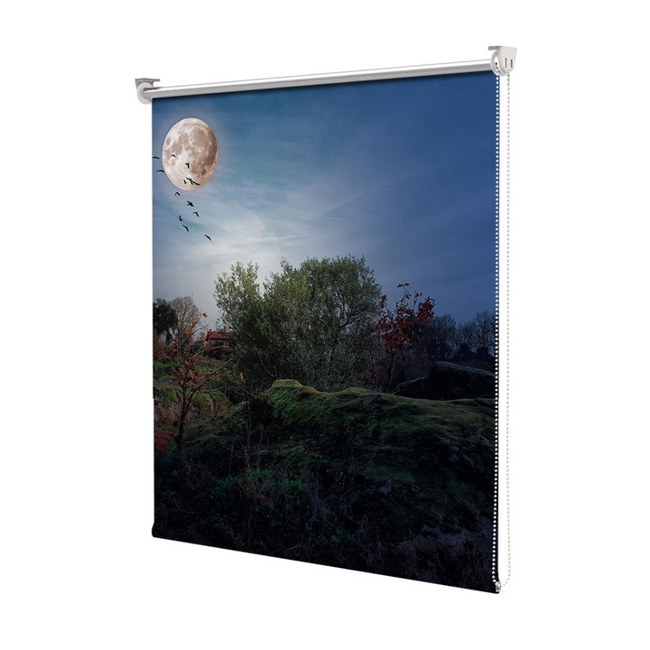 Roleta Art Shade tip Jaluzea cu Rulou si sistem inclus, Art Star, Luna plina ca-n povesti, Decoratiuni, Latime 45 cm x Inaltime 130 cm