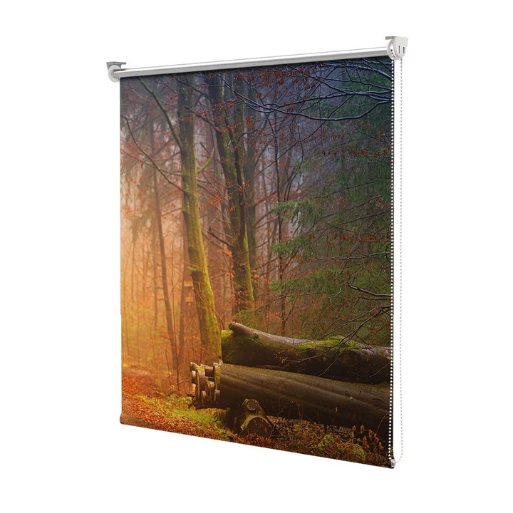 Roleta Art Shade tip Jaluzea cu Rulou si sistem inclus, Art Star, Busteni pe drumul iluminat, Decoratiuni, Latime 45 cm x Inaltime 130 cm