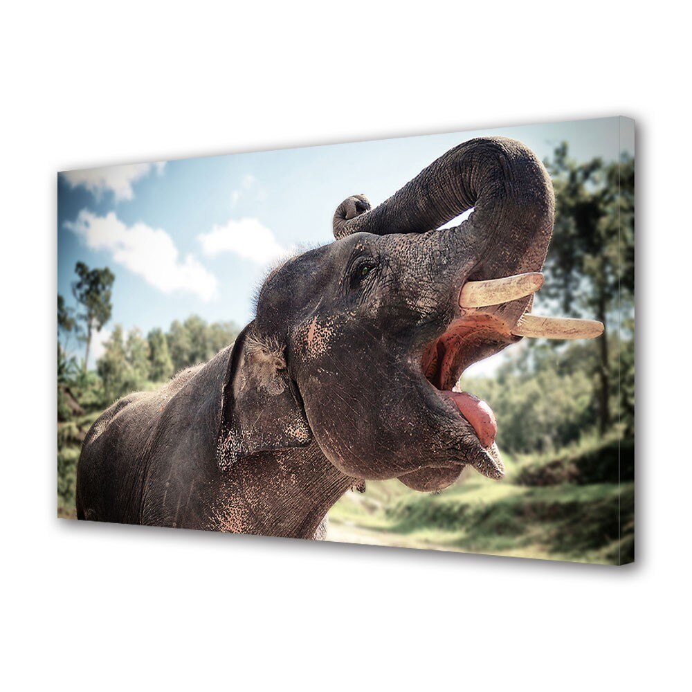 Tablou Canvas Animale Elefant in Tailanda, 40 x 60 cm