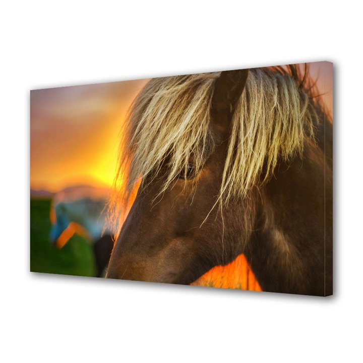 Tablou Canvas Animale Cal la rasarit, 20 x 30 cm