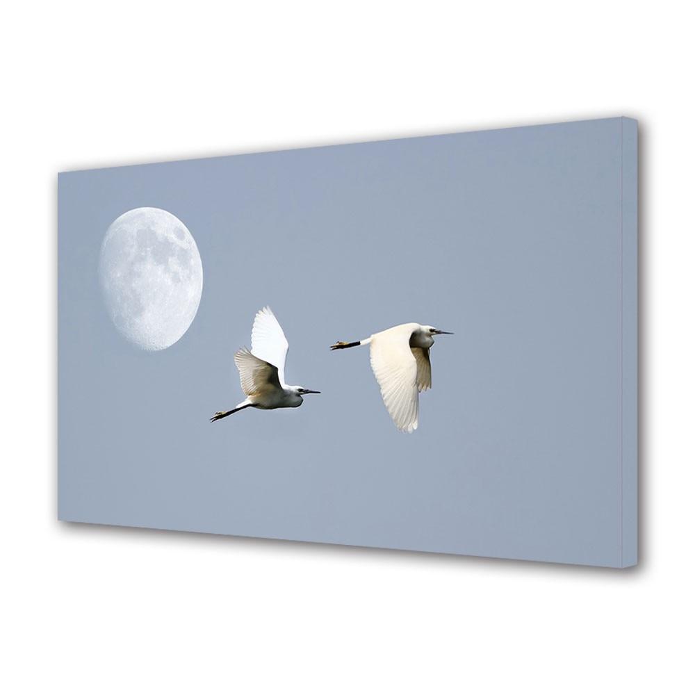 Tablou Canvas Animale Pasari in zbor, 40 x 60 cm