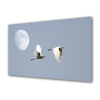 Tablou Canvas Animale Pasari in zbor, 40 x 60 cm Tablou Canvas Animale Pasari in zbor, 40 x 60 cm