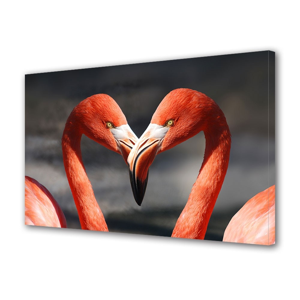 Tablou Canvas Animale Cuplu de flamingo, 40 x 60 cm
