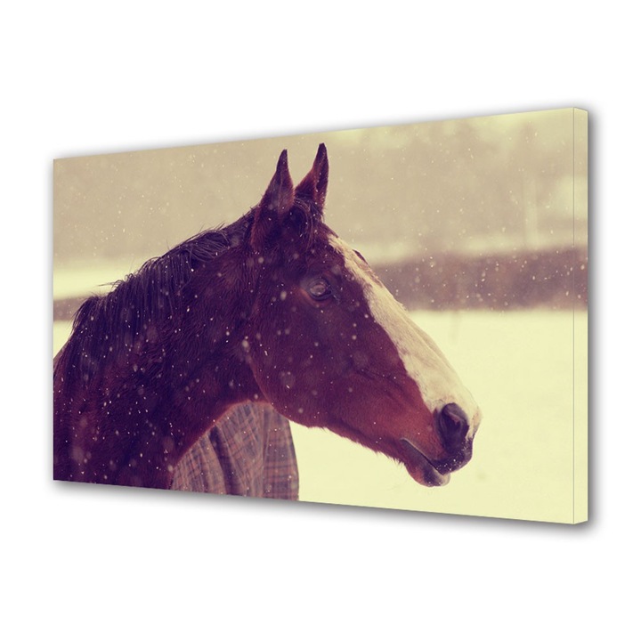 Tablou Canvas Animale Cal iarna, 20 x 30 cm