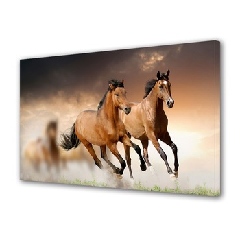 Tablou Canvas Animale Cai alergand, 70 x 100 cm Tablou Canvas Animale Cai alergand, 70 x 100 cm