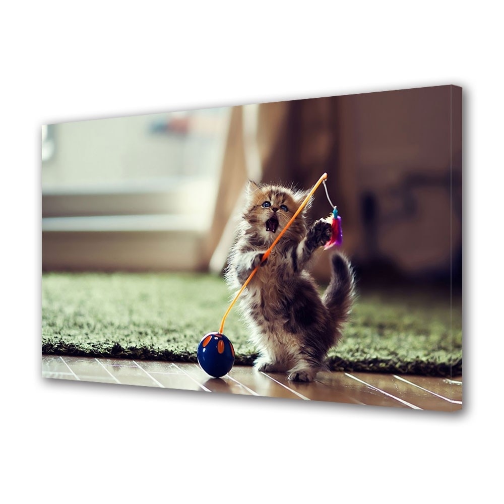 Tablou Canvas Animale Pisicuta jucausa, 20 x 30 cm