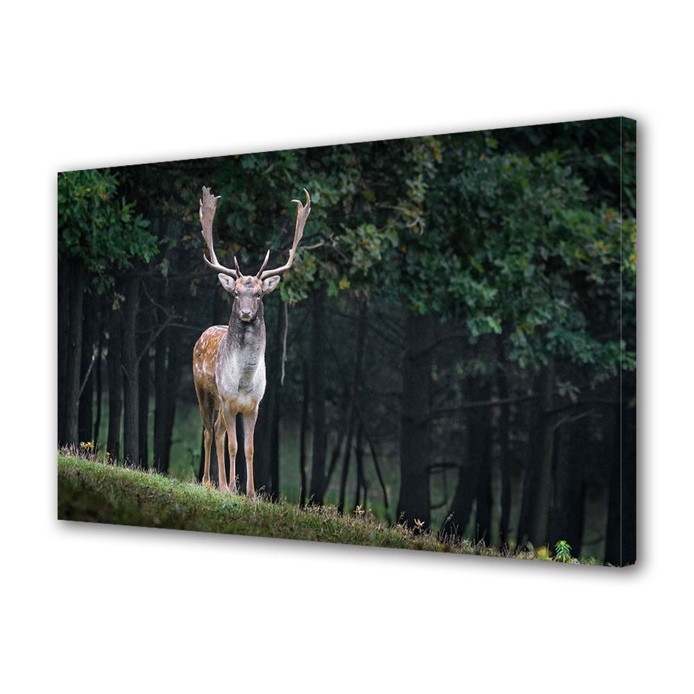 Tablou Canvas Animale Cerb cu coarne imense, 20 x 30 cm