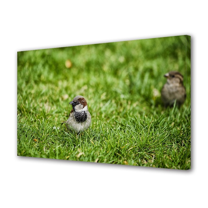 Tablou Canvas Animale Pasare in apa, 20 x 30 cm