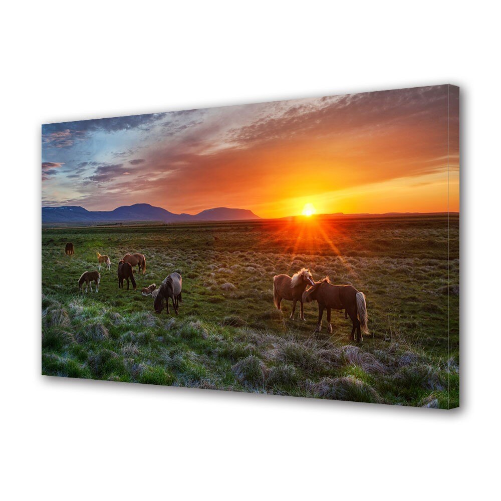 Tablou Canvas Animale Bufnita superba, 20 x 30 cm