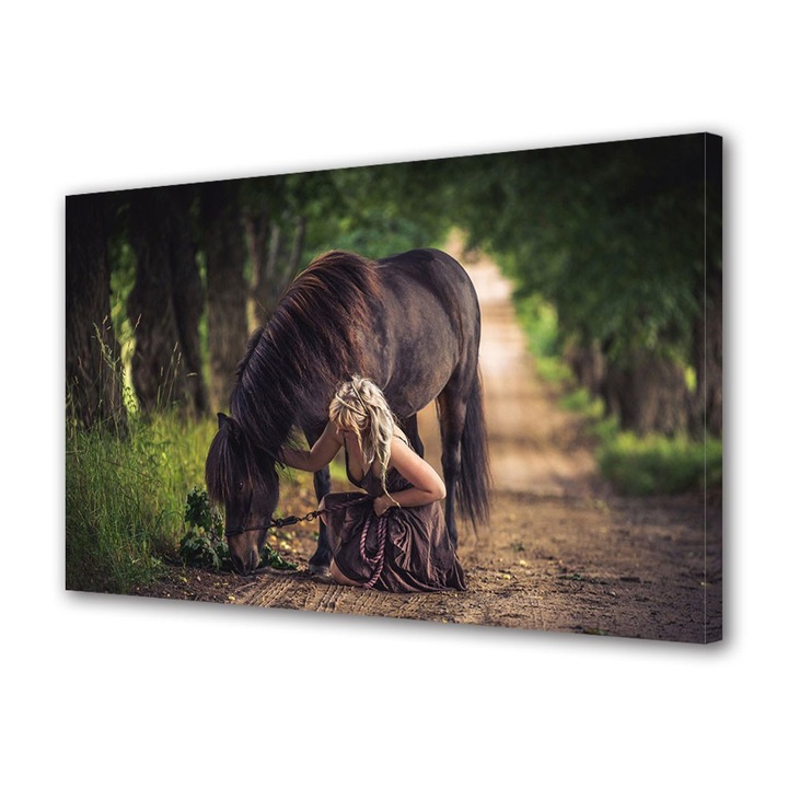 Tablou Canvas Animale Cal la pascut, 20 x 30 cm