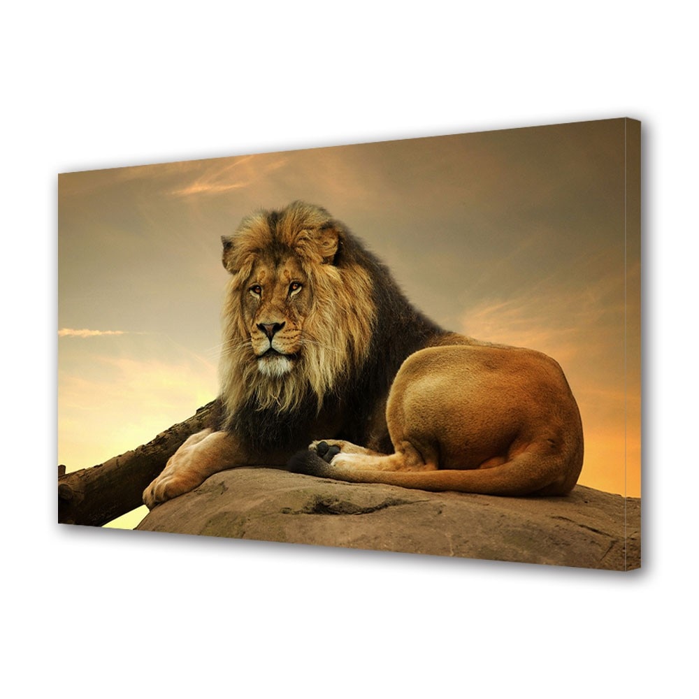 Tablou Canvas Animale Leu imens pe stanca, 70 x 100 cm
