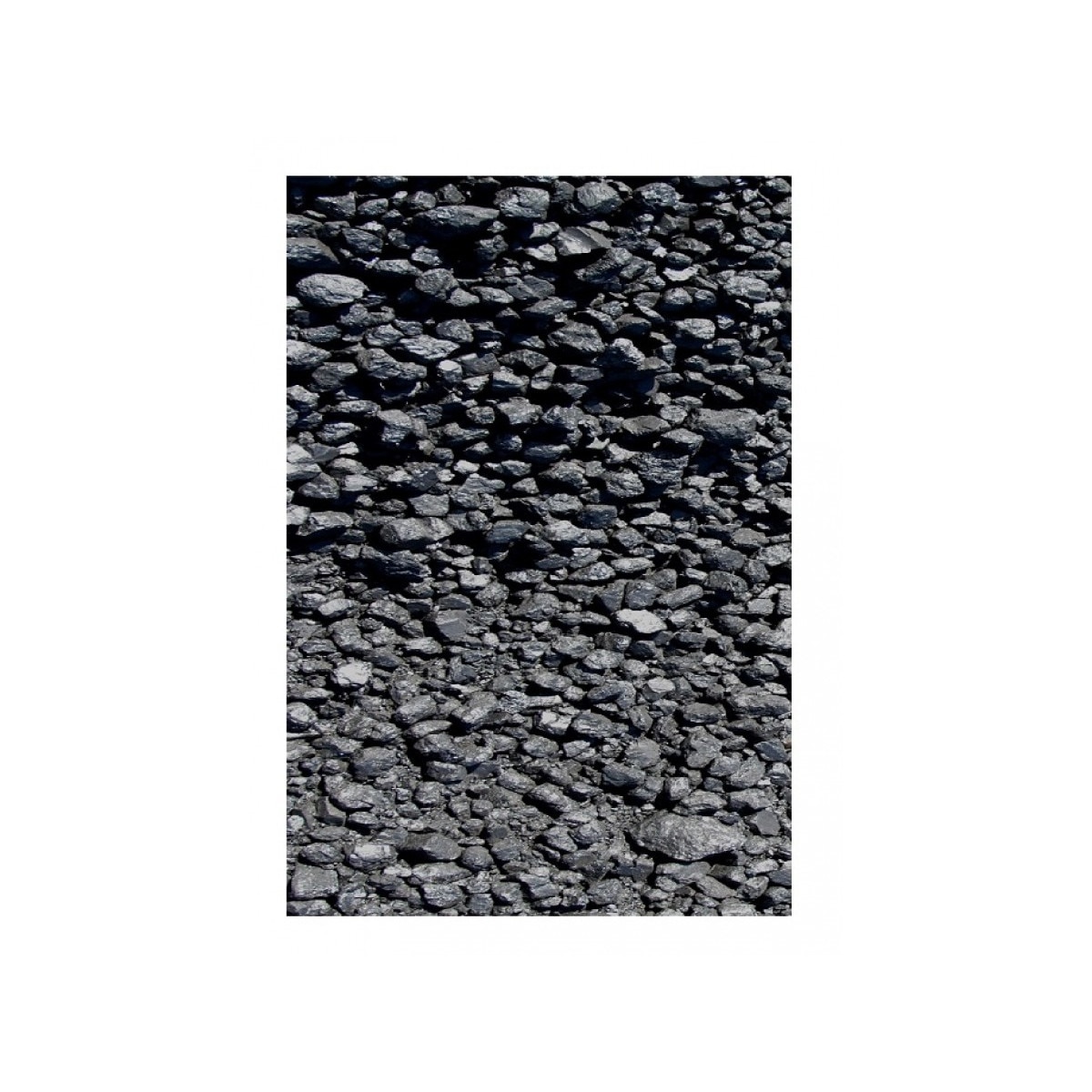 Filtru Carbon Elfi 300 600 g