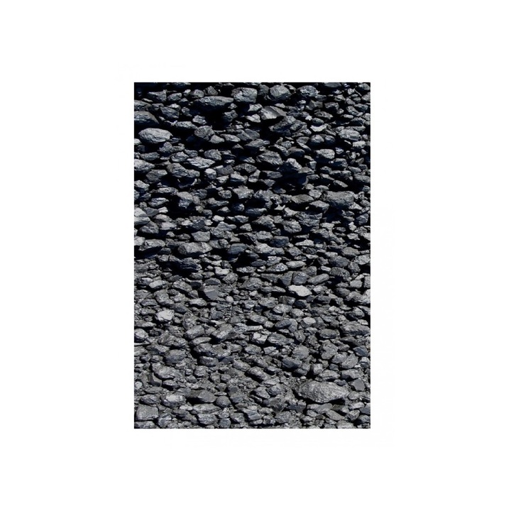 Filtru Carbon Elfi 300 600 g