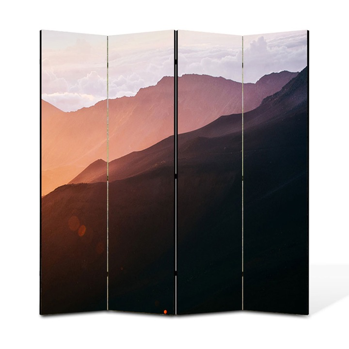 Paravan 4 piese Premium TrueColor, Art Star, Catre nori, Panza pe cadru de lemn, Decoratiuni Moderne pentru Casa, 4 Panouri de 35 x 150, 140 x 150 cm