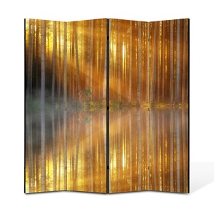 Pereti despartitori si paravane