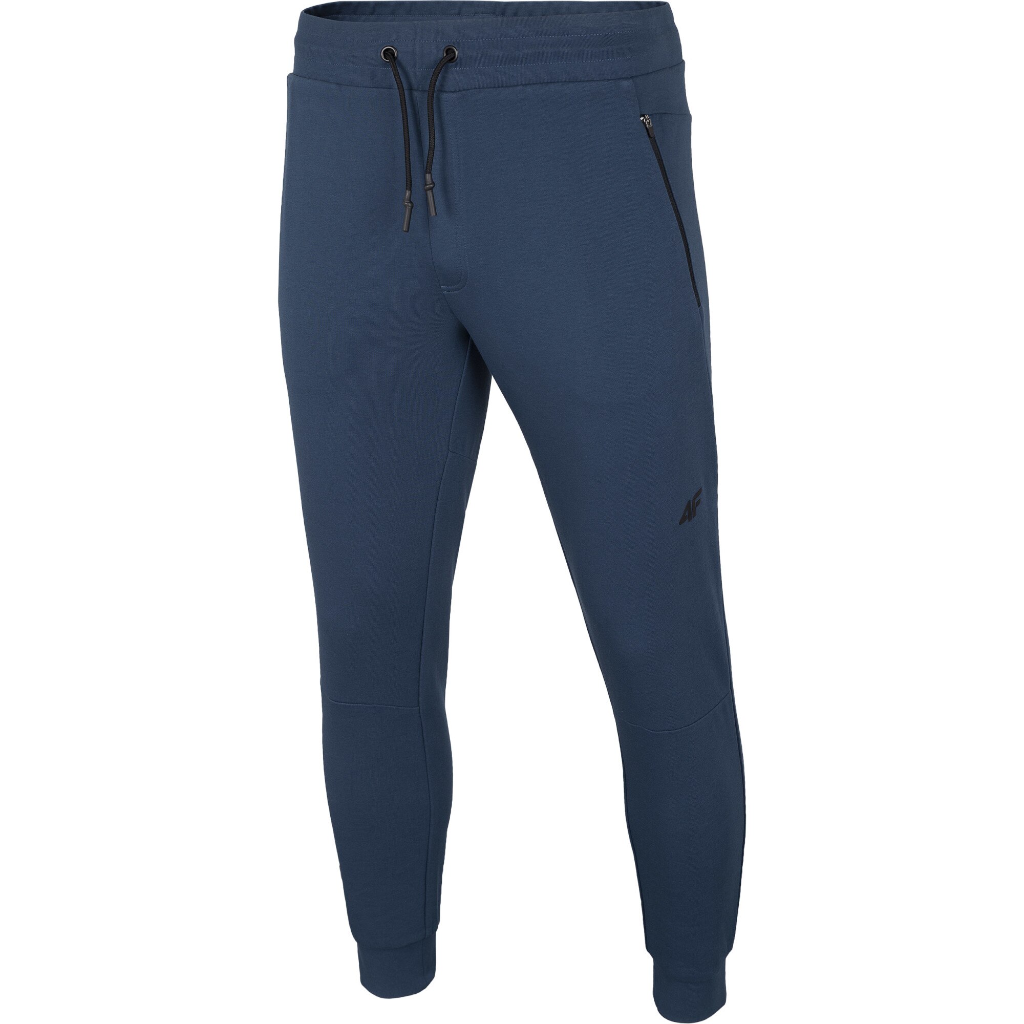 Pantaloni sport pentru barbati, 4F, albastru