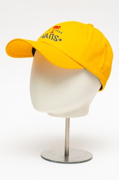 Vans, Sapca baseball cu broderie logo Quinby, Galben sofran Vans, Sapca baseball cu broderie logo Quinby, Galben sofran