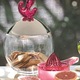 Alessi candy bar, Ovo