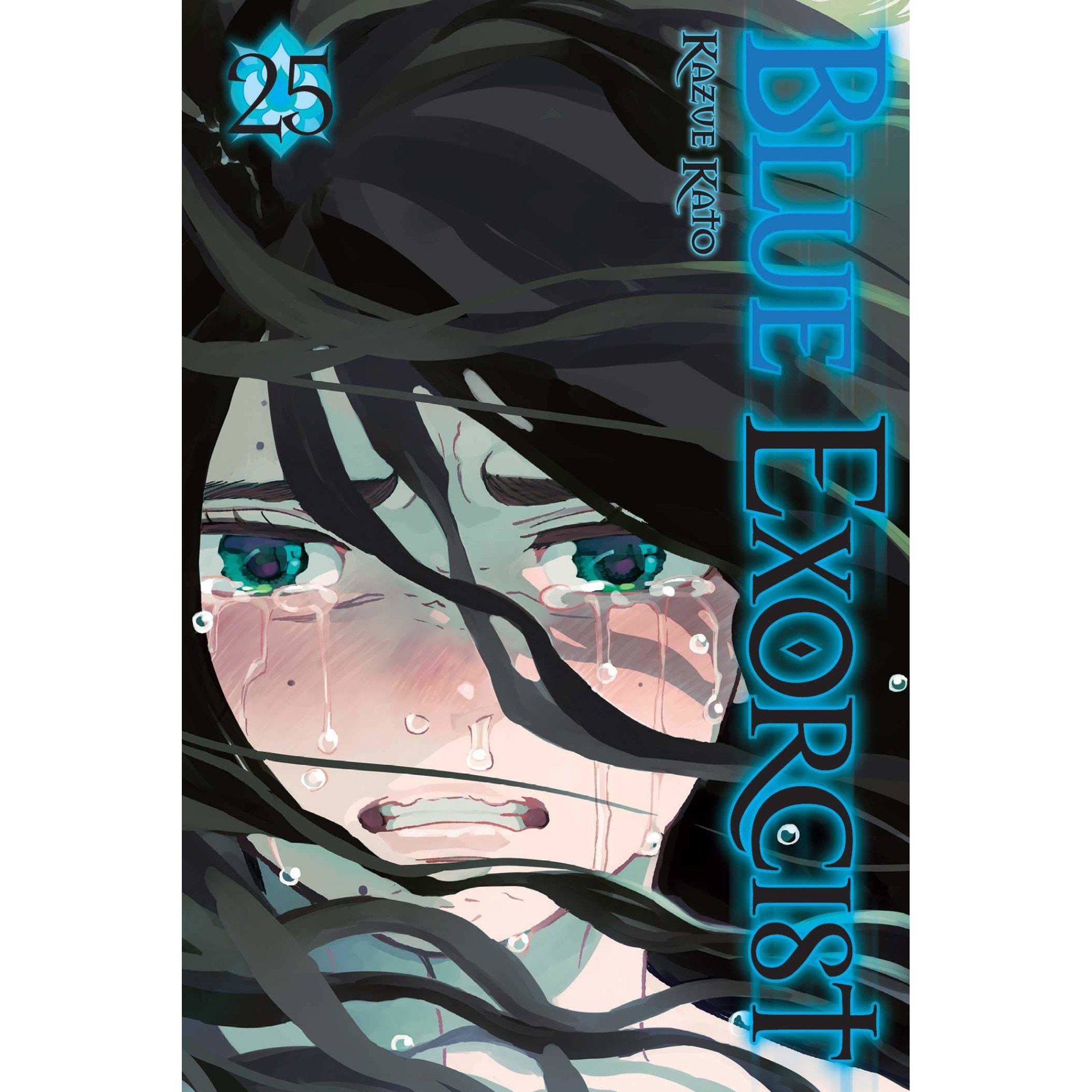Blue Exorcist Vol. 25 - Kazue Kato, editia 2021