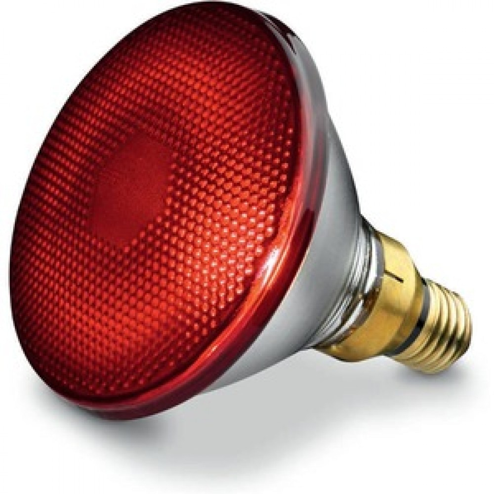 Bec infrarosu pentru Beurer IL 21 si IL 35,150 W, 61651_EN