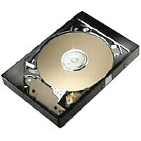 Maxtor DiamondMax Plus 9 60GB 7200 RPM ATA/133 HDD IDE TESTED BLANK