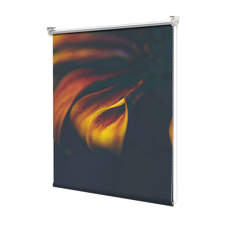 Roleta Art Shade tip Jaluzea cu Rulou si sistem inclus, Art Star, Floare mistica, Multicolor, Decoratiuni, Latime 50 cm x Inaltime 190 cm