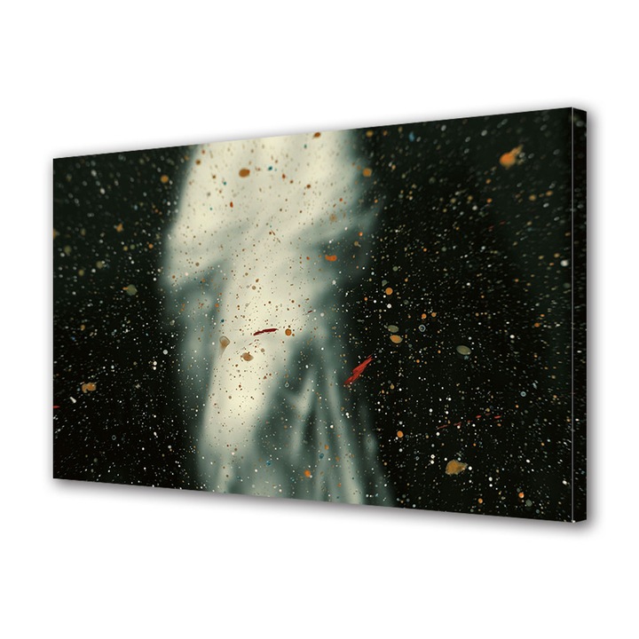 Tablou Canvas Premium, Art Star, Fantoma, Abstract, Panza pe cadru de lemn, Decoratiuni Moderne pentru Casa, 20 x 30 cm