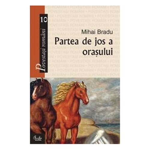 Partea de jos a Orasului - Mihai Bradu