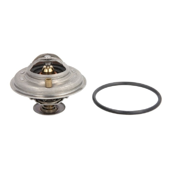 Термостат, охладителна течност Volkswagen Passat B5 1996-2005 4123.80D