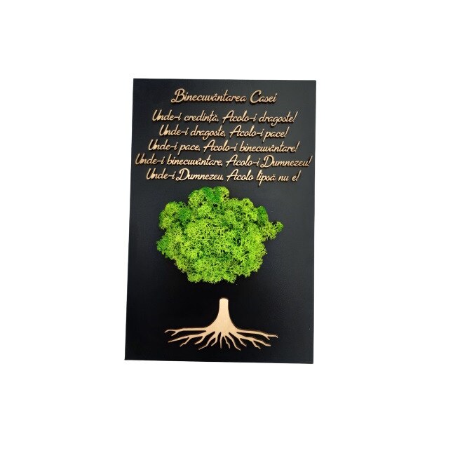 Tablou Binecuvantarea Casei cu licheni verzi, fundal negru, 40x30cm